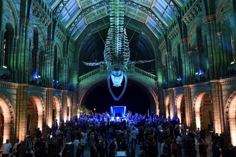globedge-travel-london-natural-history-museum-lates